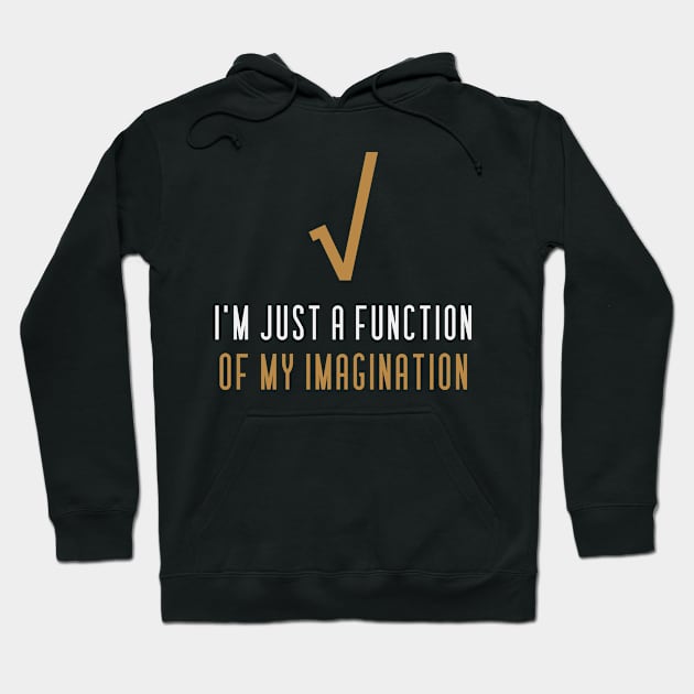 I'm Just a Function of My Imagination Funny Math Hoodie by ThreadSupreme